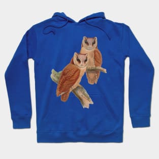 Pair of Owls Painting Hoodie